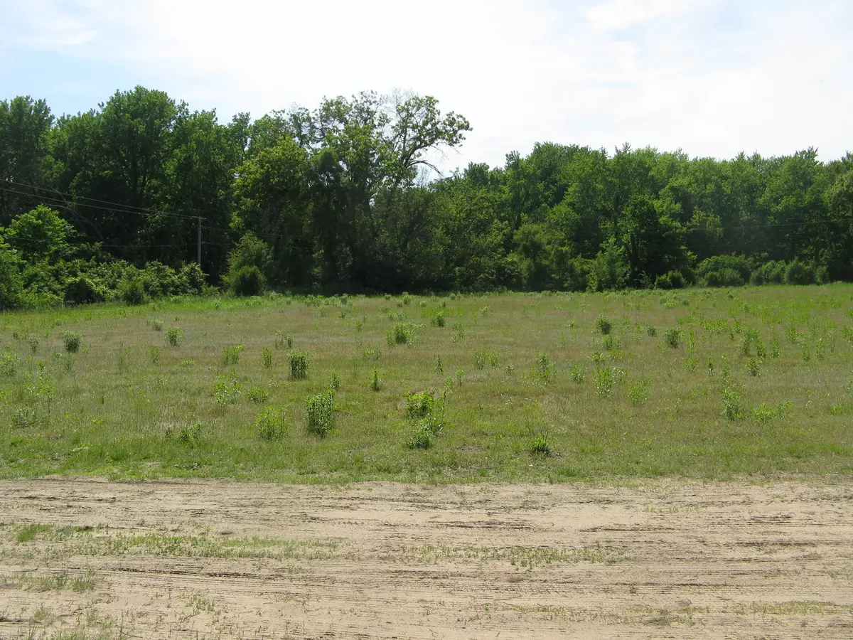 Custer Park, IL 60481,lot 1 S Irish LN