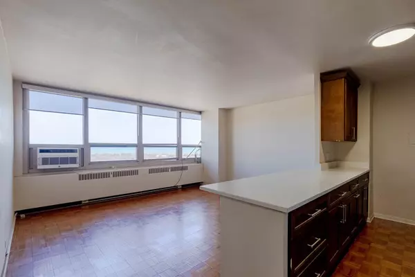 Chicago, IL 60613,3950 N Lake Shore DR #2308