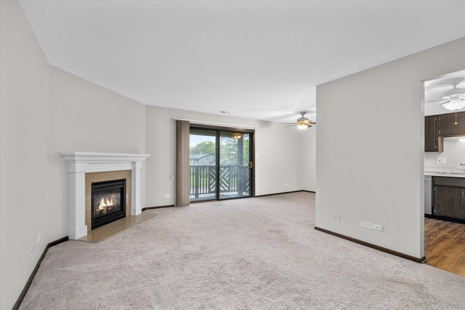 Wheaton, IL 60189,1435 Johnstown LN #C