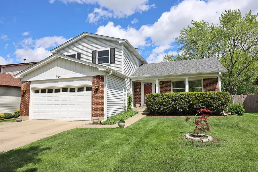 967 David LN, Elk Grove Village, IL 60007