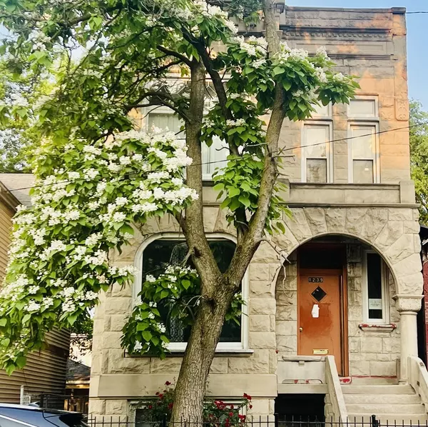1239 S CALIFORNIA AVE, Chicago, IL 60608
