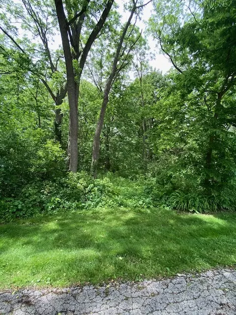 Spring Grove, IL 60081,Lot 59 Beverly WAY