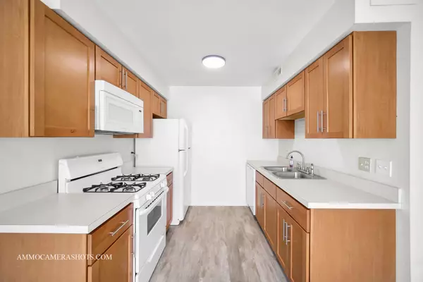 Bartlett, IL 60103,195 Elizabeth CT #D