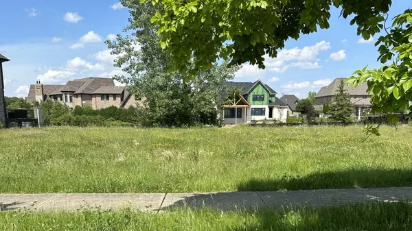 Mokena, IL 60448,20140 Alison TRL