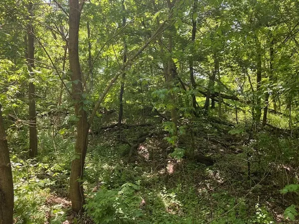 Spring Grove, IL 60081,Lots 8 & 9 Ravine DR