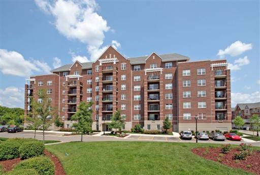 410 W Mahogany CT #501,  Palatine,  IL 60067