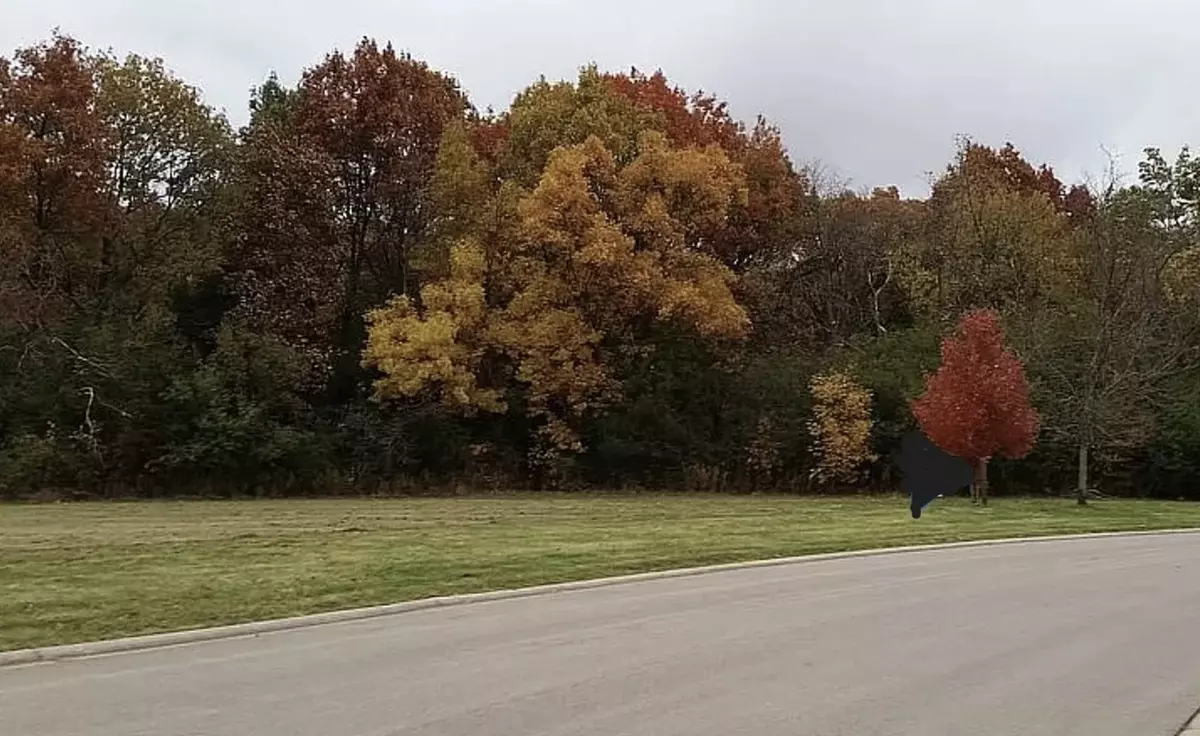 Spring Grove, IL 60081,11205 Morning Dove LN