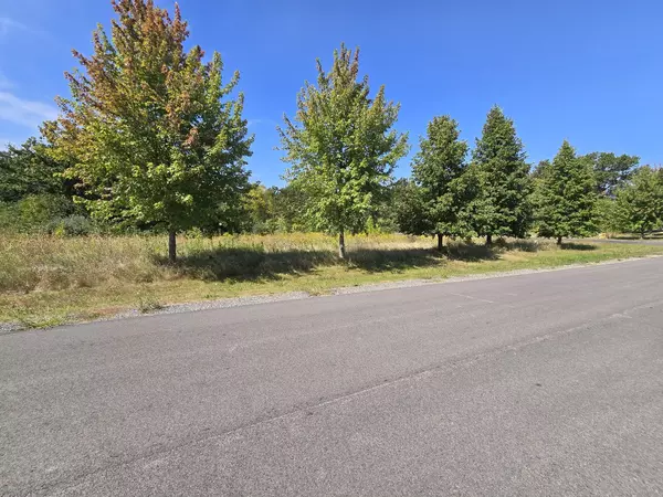 Wadsworth, IL 60083,40342 N Belle Foret DR