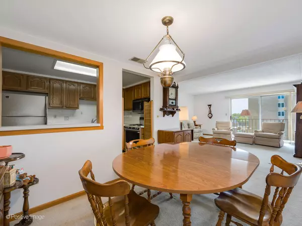 Des Plaines, IL 60016,1365 Ashland AVE #504