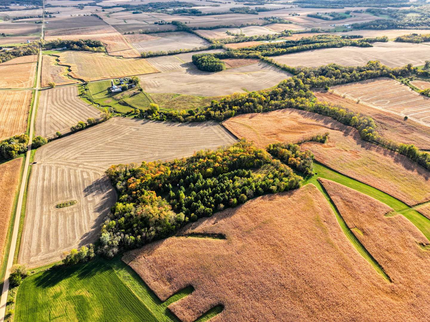 Forreston, IL 61030,0 N Mt. Vernon RD