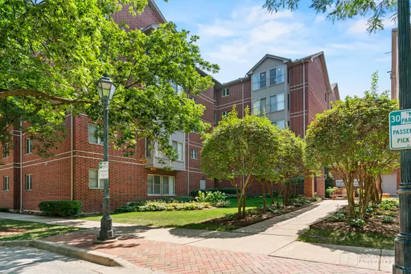 27 E Hattendorf AVE #517, Roselle, IL 60172