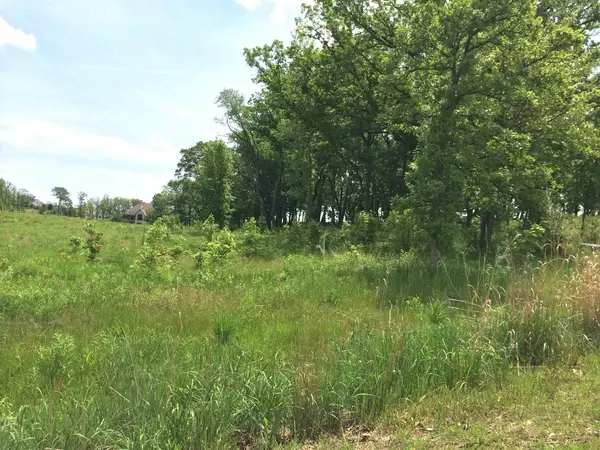 Woodstock, IL 60098,Lot 20 ,1221 RIDGEMOOR TRL