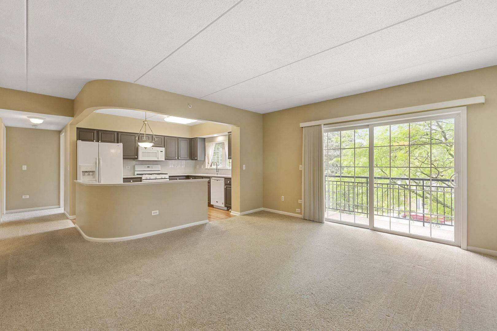 Palatine, IL 60067,124 W Colfax ST #301
