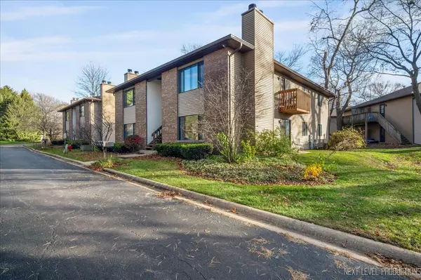 251 S Harrison ST #LOWER,  Geneva,  IL 60134