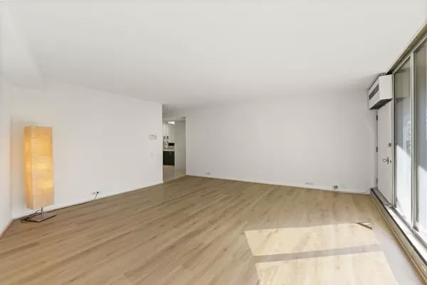 Chicago, IL 60654,300 N State ST #3235