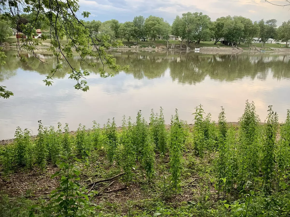 Rock Falls, IL 61071,par-1131151003/1036277002 Regan RD