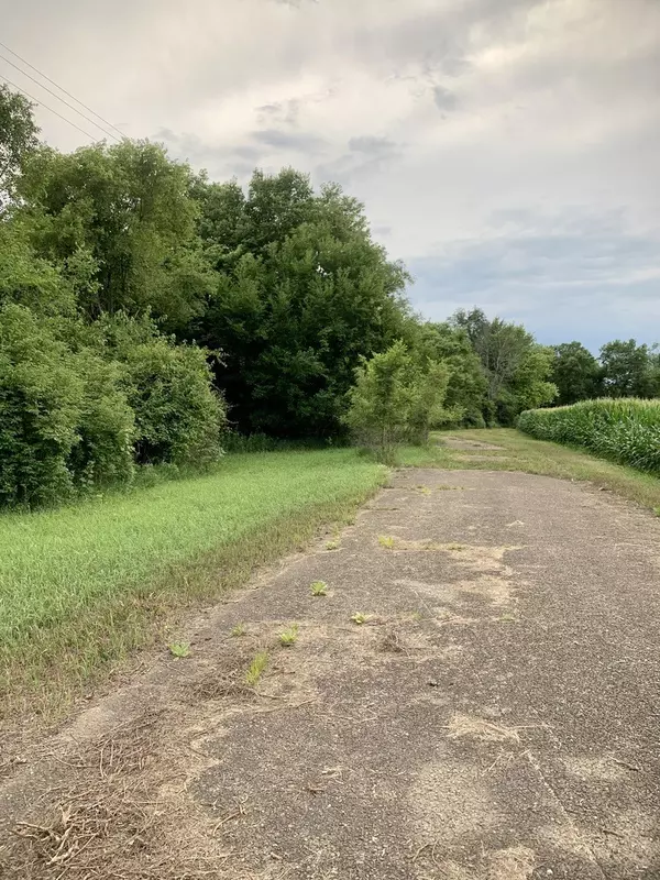Rock Falls, IL 61071,par-1131151003/1036277002 Regan RD