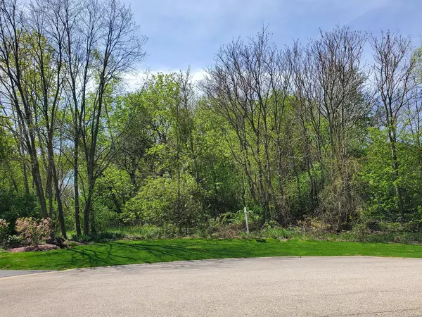 Wadsworth, IL 60083,LOT 43 Scenic CT