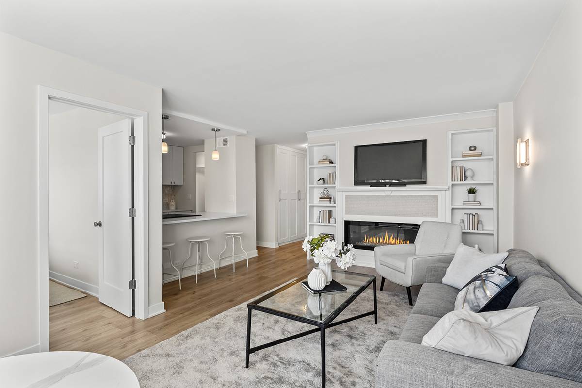 Chicago, IL 60610,1455 N Sandburg TER #1204