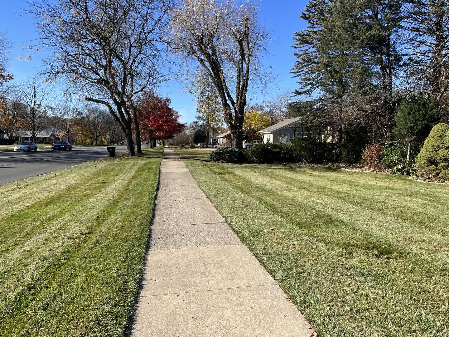 Palatine, IL 60074,8 N Greenwood AVE