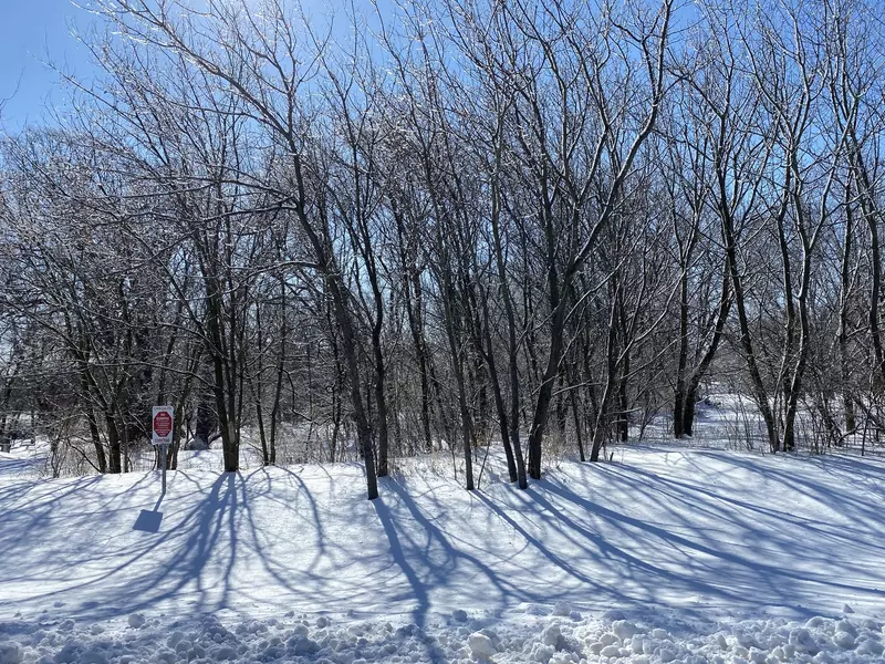 Lot 15 Campton Meadows DR, Campton Hills, IL 60119