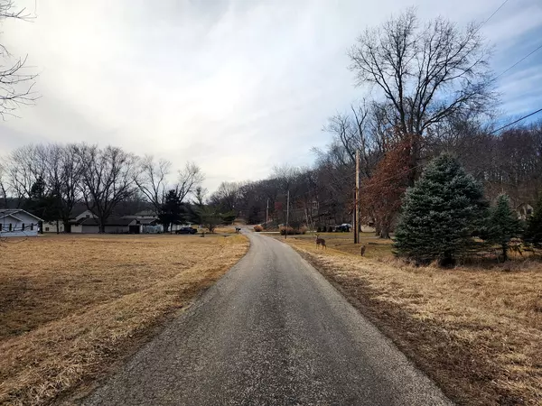 Varna, IL 61375,Lot 166/167 Beachview CT