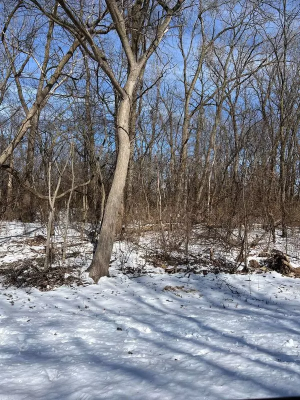Crystal Lake, IL 60014,0 Arthur Lot 31 ST