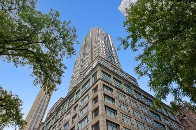 Chicago, IL 60611,100 E Huron ST #2804