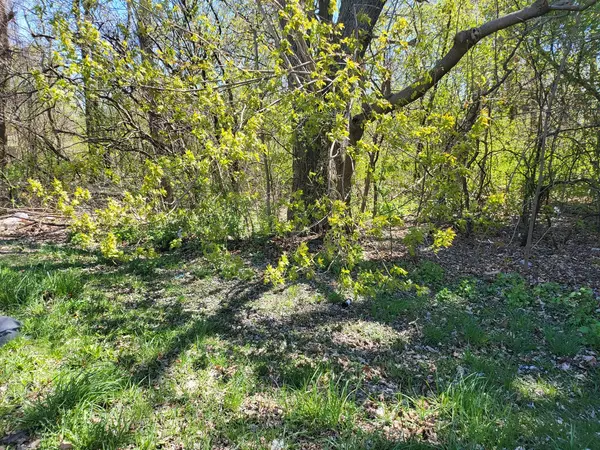 1507 W York House RD, Waukegan, IL 60087