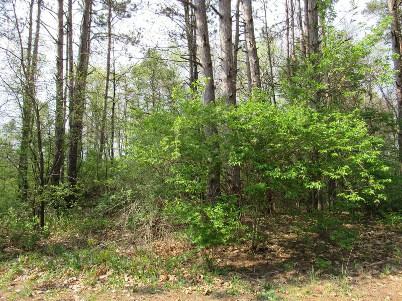 176 Norfolk WAY, Essex, IL 60935