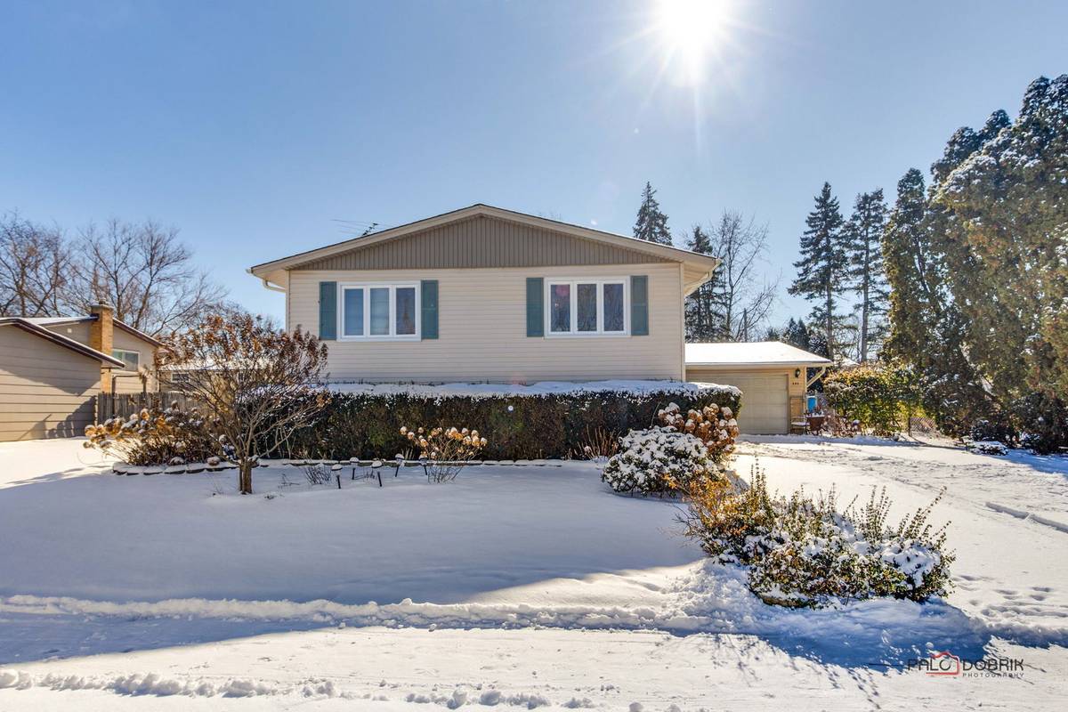 Mount Prospect, IL 60056,905 E Alder LN