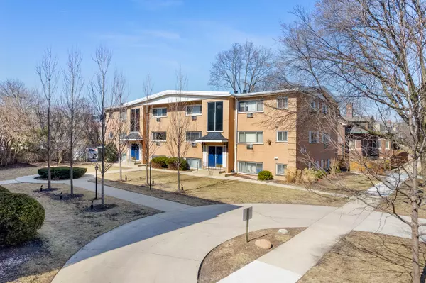 407 S Wesley AVE #3, Oak Park, IL 60302