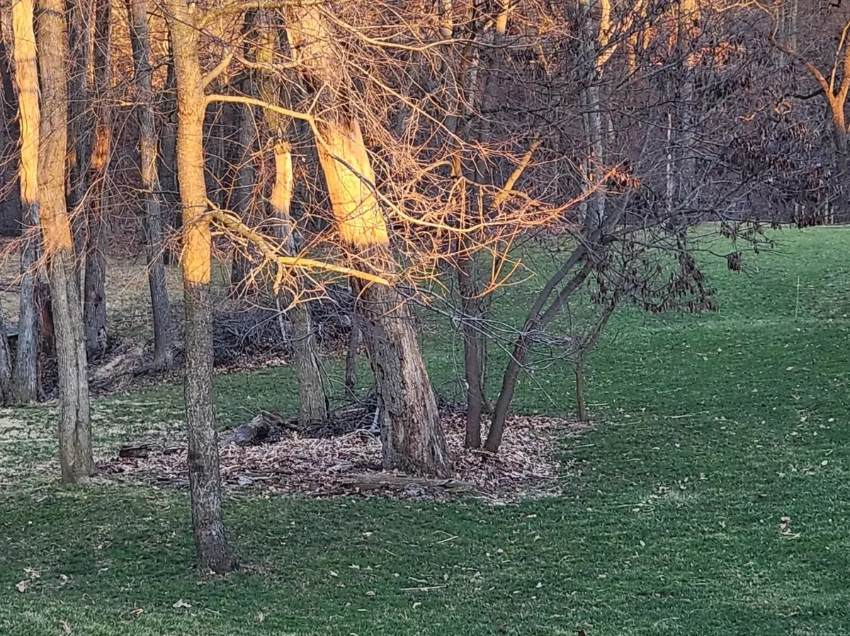 Varna, IL 61375,Lot 1641 Tanglewood DR
