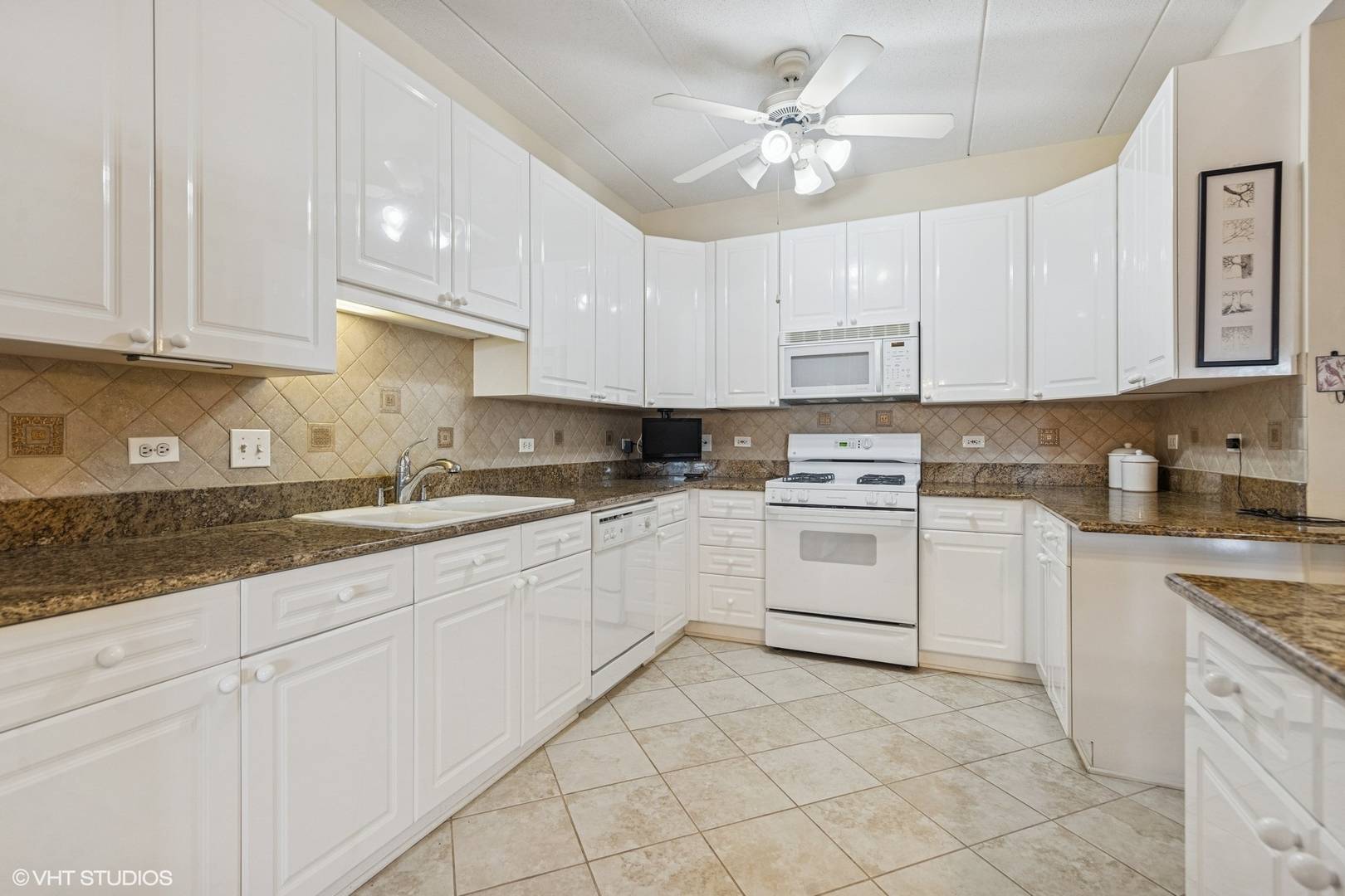 Elmhurst, IL 60126,131 W ADELAIDE ST #311