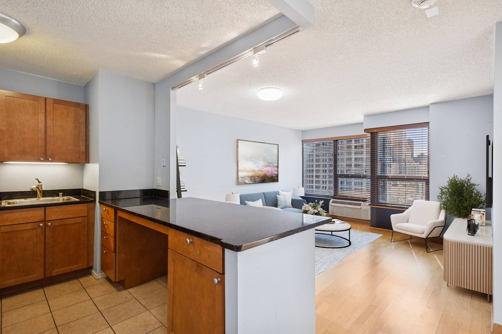 Chicago, IL 60611,30 E HURON ST #2003