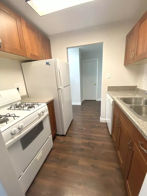 Des Plaines, IL 60016,8974 N Western AVE #309