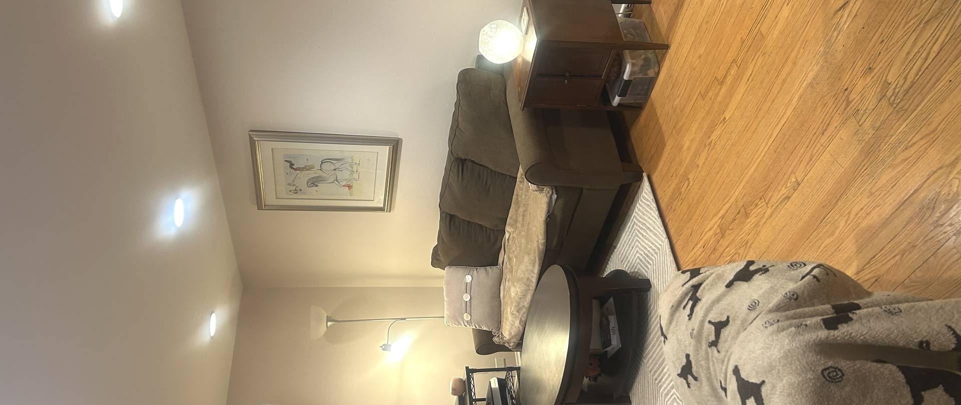 Chicago, IL 60626,1324 W Greenleaf AVE #1B