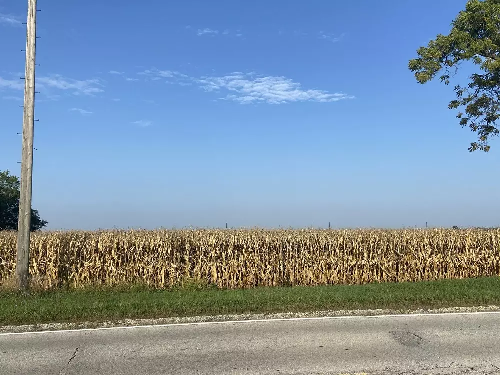 Peotone, IL 60468,28200 S Lagrange HWY