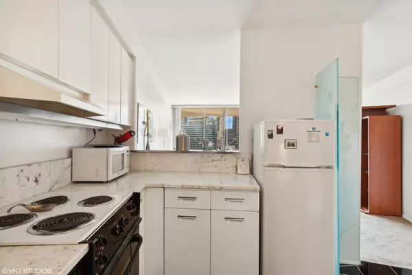 Chicago, IL 60654,300 N State ST #3109