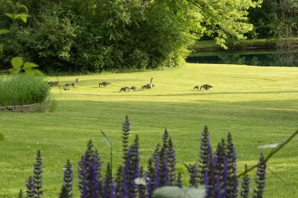 Richmond, IL 60071,5814 Il Route 173