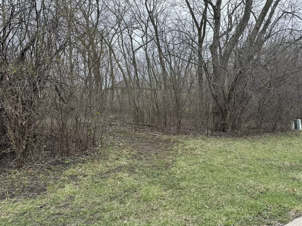 Chicago Heights, IL 60411,879 Campbell Avenue - Lot 007