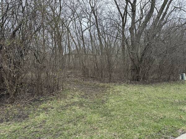 879 Campbell Avenue - Lot 007, Chicago Heights, IL 60411