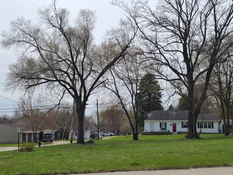 Lot 1 Watson AVE, Oglesby, IL 61348