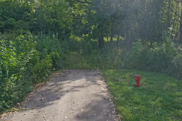 Lake Forest, IL 60045,Lot 4 Whitehall LN
