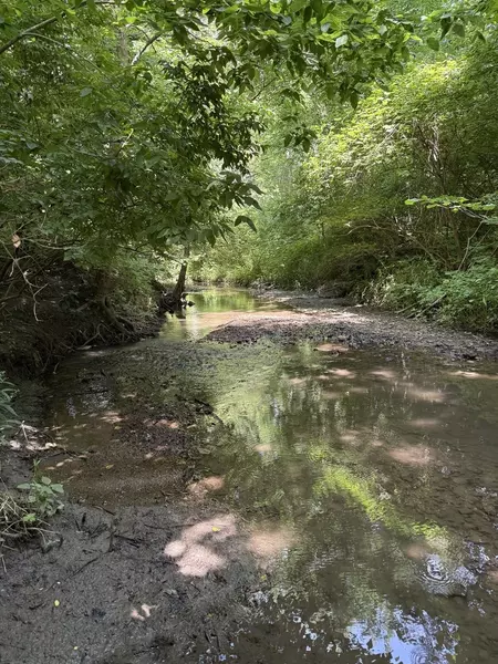 LOT 63 and 78 Cobble Creek LN, Heyworth, IL 61745