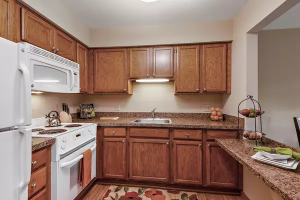 Palos Park, IL 60464,10300 Village Circle DR #1109