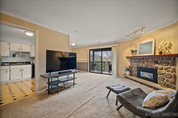 Wheaton, IL 60189,1707 Lakecliffe DR #C