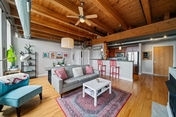 Chicago, IL 60608,1610 S Halsted ST #503