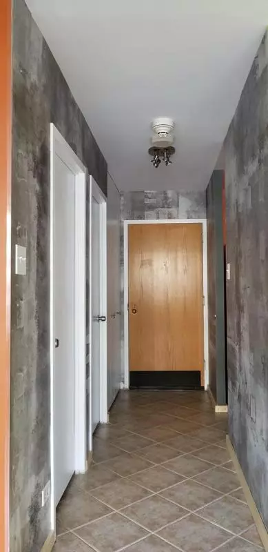 Chicago, IL 60611,211 E Ohio ST #1806