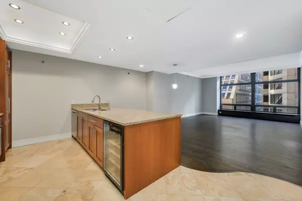 Chicago, IL 60611,680 N Lake Shore DR #515